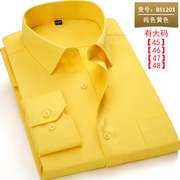 春季长袖衬衫男青年商务职业，工装休闲款纯黄色衬衣男打底衫工作服