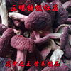 福建三明农家自采野生天然正宗蘑菇 香菇菌菇红蘑菇50克