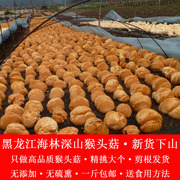 黑龙江海林半野生猴头菇，菌东北半野生猴头菇，干货东北猴头菇500克
