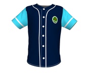 棒球服专业设计定制棒球衣垒球队服训练比赛专业印logo