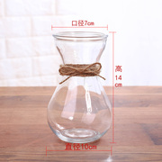 简约水培植物花瓶透明玻璃花盆水养绿萝风信子观音竹桌面插花瓶