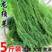 盐渍海草龙须菜5斤新鲜商用凉拌海藻菜非干货，海菜海石花菜凉拌菜