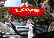 结婚庆用品 一对 婚车娃娃 婚房布置 情侣公仔婚车对娃道具装饰