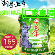 安吉白茶2024雨前正宗原产地，茶农500g袋装，云雾绿茶春茶