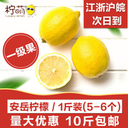安岳柠檬500g10斤单果，80g-100g四川黄柠檬(黄柠檬，)新鲜一级小果