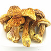 姬松茸干货巴西蘑菇香菇新鲜食用菌煲汤500克128元