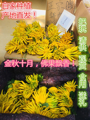 金华佛手