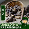 小香菇干货50g 东北特产蘑菇椴木干香菇农家自产无根家用