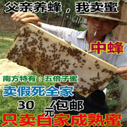 农家自产自销野生蜂蜜 土蜂蜜 五倍子蜜 百花蜜天然原蜜 结晶蜜
