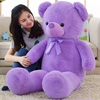 紫色薰衣草小熊公仔，泰迪熊毛绒玩具抱抱熊猫，玩偶布娃娃生日礼物女