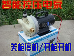 12v24v48v超高压迷你洗车泵直流，大功率洗车器水泵控压隔膜泵