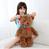儿童生日礼物送女生，毛绒泰迪熊抱抱熊小熊公仔毛绒，玩具布娃娃玩偶
