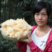 娟姐农家自产古田椴木银耳，雪耳白木耳干货特产级糯胶多无熏硫250g