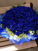 上海鲜花速递同城送花99朵蓝色妖姬蓝玫瑰99朵爱人生日送花求婚花