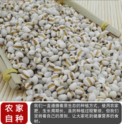薏米仁 大薏苡仁米新货农家自产祛湿薏仁米500g五谷杂粮2斤