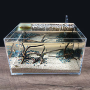 桌面生态鱼缸亚克力乌龟缸，小型水龟缸客厅，水陆造景缸带过滤免换水