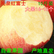 陕西苹果礼泉红富士孕妇水果新鲜水果脆甜丑苹果整箱净重10斤