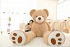 毛绒玩具1.8米2美国大熊，超大号公仔泰迪，熊猫送女友抱抱熊布娃娃女