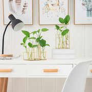 花瓶摆件创意小清新大客厅，桌面绿萝插花欧式花器玻璃水培植物容器