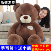 抱抱熊女生大号泰迪熊公仔，熊猫毛绒玩具熊，1.6米狗熊可爱生日礼物