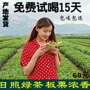 日照绿茶2023新茶叶春茶手工炒青散装板栗特级浓香型农家云雾500g