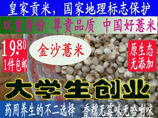 农家自产仙游龙华镇金沙薏米无霉味香糯无添加500薏米新米