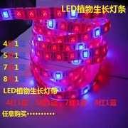 LED植物生长灯带 DC12V5050高亮红蓝4 1 5 1防水植物生长补光灯条