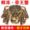 超大螃蟹帝王蟹新鲜活冻水产海鲜，长脚蟹特大螃蟹冰鲜俄罗斯帝皇蟹