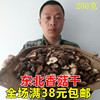 2023东北香菇干货农家无根椴木珍珠小香菇蘑菇新鲜金钱菇包250克