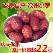 新枣沧州金丝红枣，干小枣500g自产零食泡茶煲汤散装