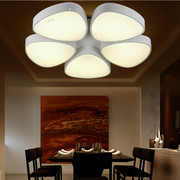 钜豪照明led圆形花瓣，吸顶灯套餐客厅，灯餐厅卧室灯具8l2050