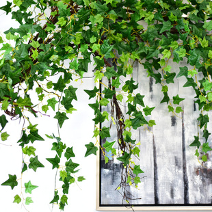 仿真爬山虎藤条树叶绿植，假花水管空调管道，遮挡装饰塑料藤蔓绿叶子