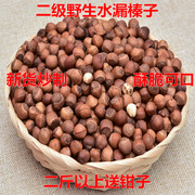 东北特产干货坚果孕妇零食品 铁岭野生原味/奶香味笨炒水漏榛子