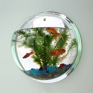 创意壁挂鱼缸悬挂挂墙水族箱生态客厅餐厅墙壁金鱼缸迷你缸造景