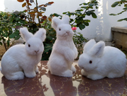 仿真兔子动物玩偶儿童，毛绒玩具兔子静态，动物模型小白兔灰兔公仔