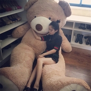 巨熊大熊超大号泰迪，熊猫毛绒玩具，送女友1.8米抱抱熊布娃娃公仔女