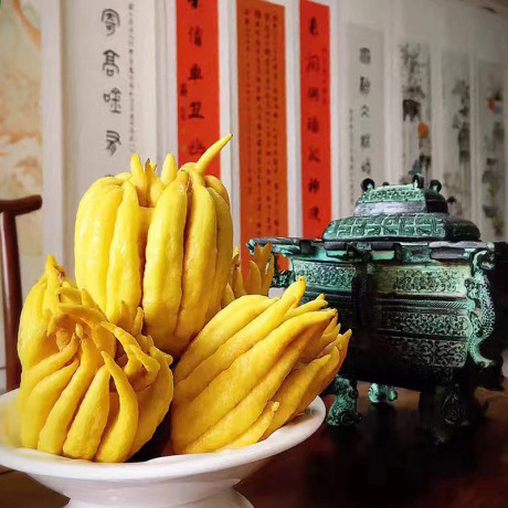 金华佛手