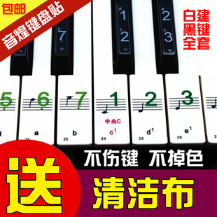 电子琴键盘贴54键61键88键透明五线谱简谱键位贴防水钢琴贴纸