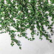 仿真葡萄叶爬山虎假花藤条植物，塑料绿树叶水，管道吊顶缠绕装饰遮挡