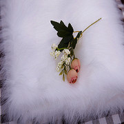 纯白色长毛绒布料装饰品地垫展示毯格子铺背景布绒毛毛布地毯