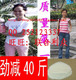 真实经历狂减40斤 顶级出口魔芋粉减肥瘦身 独立