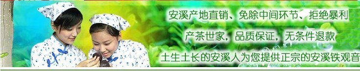 浓香型铁观音