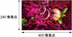 http://img07.taobaocdn.com/tps/i7/T15LVzXjNCXXXXXXXX-250-130.jpg